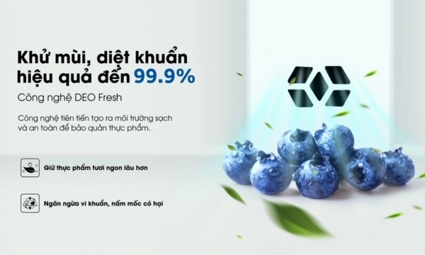 Tủ lạnh Aqua Inverter AQR-T220FA(FB) - Khánh khuẩn, khử mùi