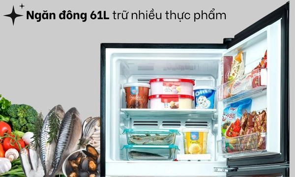 Tủ lạnh Toshiba Inverter 233 lít GR-RT303WE-PMV(52) - Ngăn đông lớn