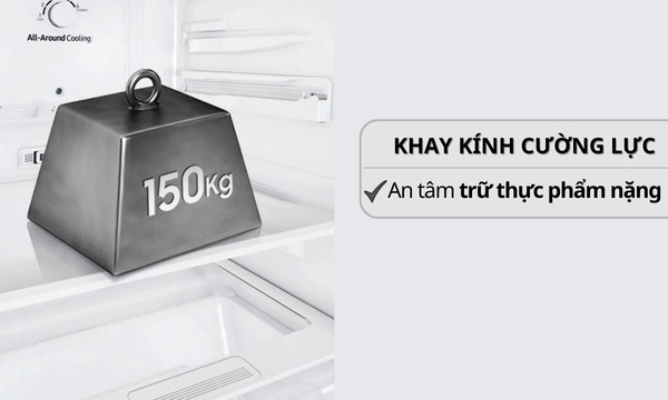 Tủ lạnh Samsung Inverter 236 lít RT22M4032BU Khay kính cường lực chịu lực tốt