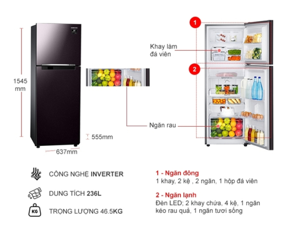 Tủ lạnh Samsung Inverter 236 lít RT22M4032BY - Hình ảnh 4