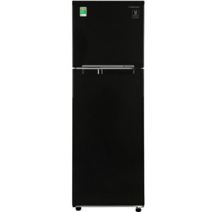 Tủ lạnh Samsung Inverter 256 lít RT25M4032BU (RT25M4032BU/SV)