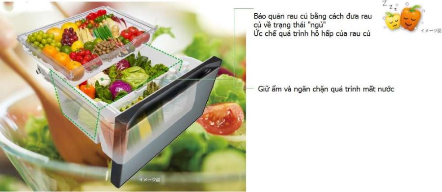 Hàng Nhật Số 1 - Shop Nội Địa Nhật 