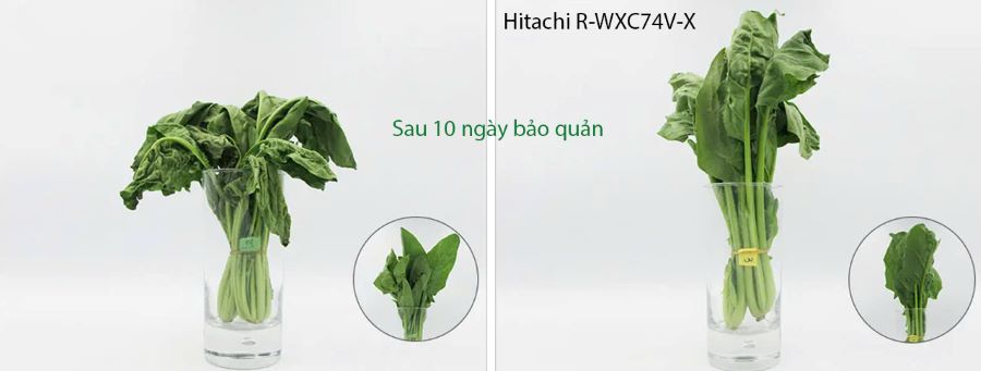 Hàng Nhật Số 1 - Shop Nội Địa Nhật 